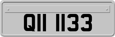 QII1133