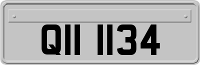 QII1134