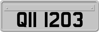 QII1203