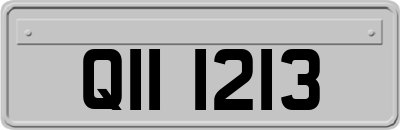 QII1213
