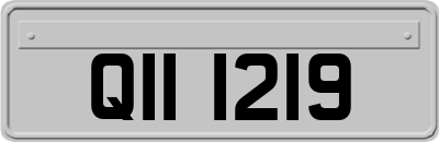 QII1219