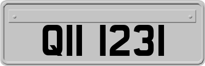 QII1231