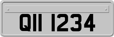QII1234