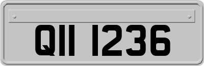 QII1236
