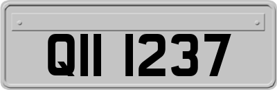 QII1237