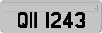 QII1243