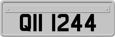 QII1244