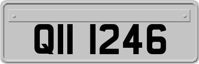 QII1246