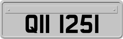 QII1251