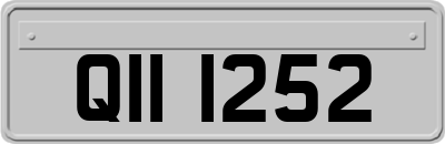 QII1252