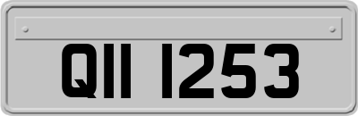 QII1253
