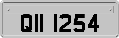 QII1254