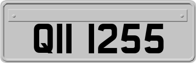 QII1255