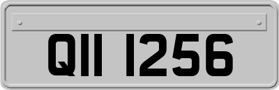 QII1256