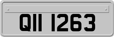 QII1263