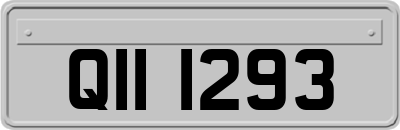 QII1293