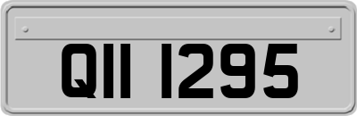 QII1295
