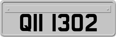 QII1302