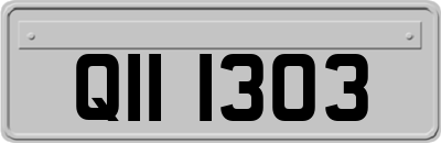 QII1303