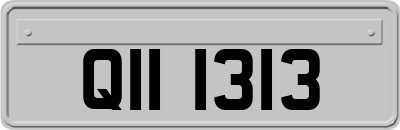 QII1313