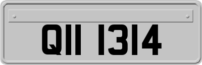 QII1314