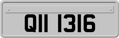 QII1316