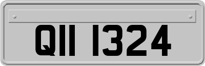 QII1324