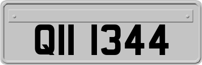 QII1344
