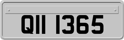 QII1365