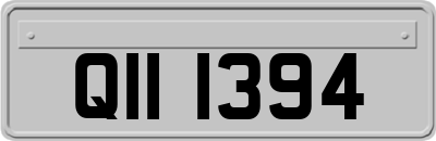 QII1394