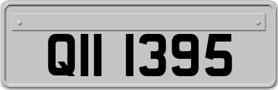 QII1395