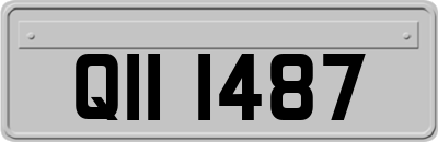 QII1487