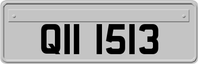 QII1513