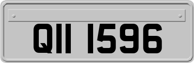 QII1596