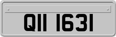 QII1631