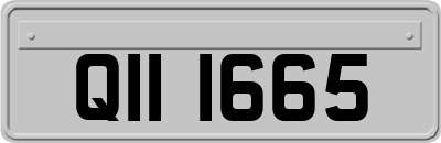 QII1665
