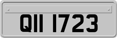 QII1723