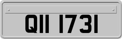 QII1731