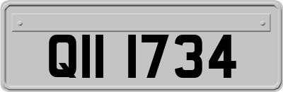 QII1734