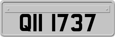 QII1737