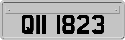 QII1823