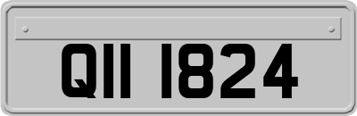 QII1824