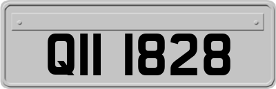 QII1828
