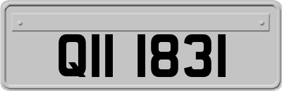 QII1831