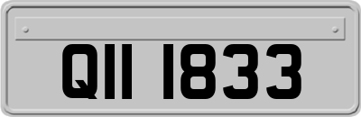 QII1833