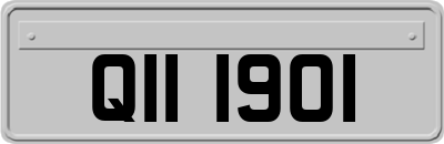 QII1901