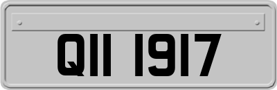QII1917
