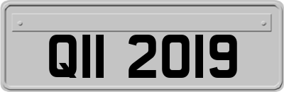 QII2019