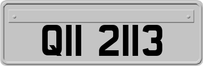 QII2113