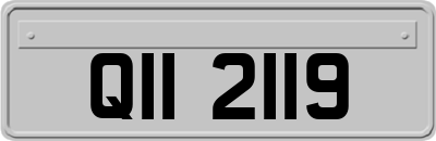 QII2119